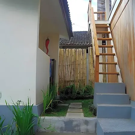 Kirra\'S Beach House